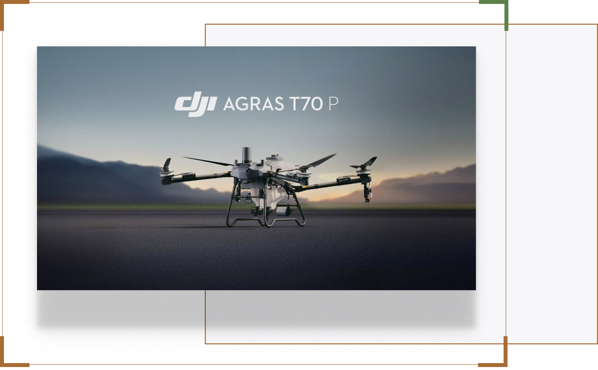 Category-DJI
